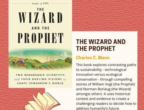 The Wizard and The Prophet